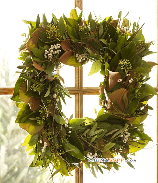 ʥ�Q���������@Щ�b�Ʒ