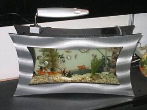 �ڒ��~�ס�չʾ����Ʒζ