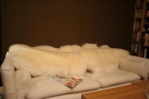 ��ë���ô��坍�B���۹�