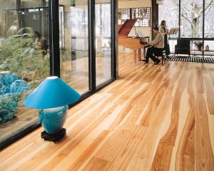 ��ذ���Ȼ����ذ�h���L��