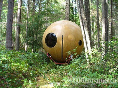 ������˼�������w�Ƅӷ���