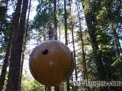 ������˼�������w�Ƅӷ���