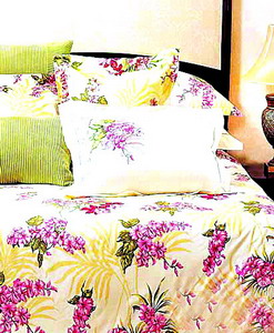 ����x�񌍻��֌��ô�����Ʒ