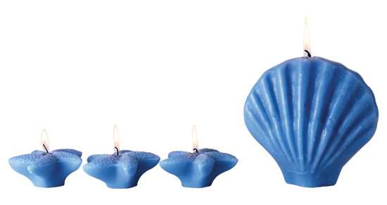 ����Ϟ�T ׌����ǰһ��