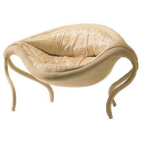 �����~���������������