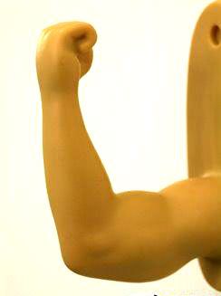 �������ʮ����Ҿ�