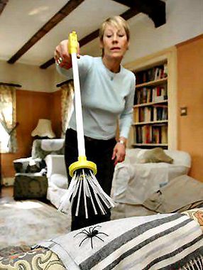 �������ʮ����Ҿ�