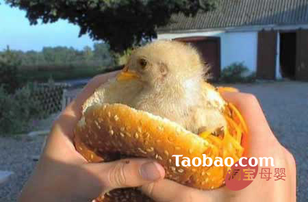 �gЦ�r�����˹��������