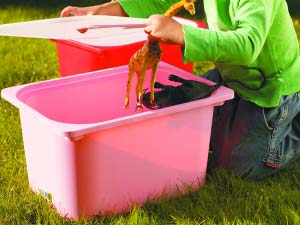 С�Ɍ�(sh��)�ü�Ʒ�o�����Ĝ�ܰ