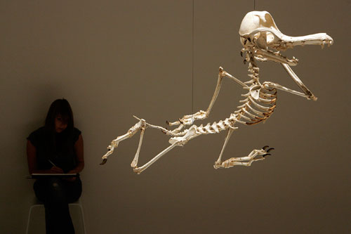 ��ʿ����ͨ�������tչ