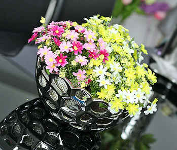 ��(d��)�߽��ĵĄ�(chu��ng)��䳲��ʳ�P(p��n)