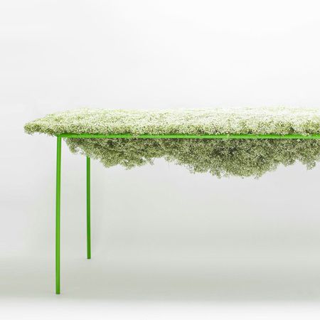 ����DIY ���侎����������