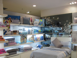 西南市場的領潮人