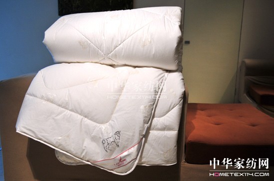 �{���Ҽ�2011�����ƏV��