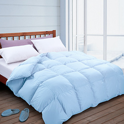 ��q��Ҳ�������B�