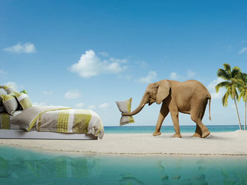 �������У���Ȼ���e���s��