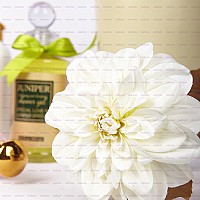 ��֧������