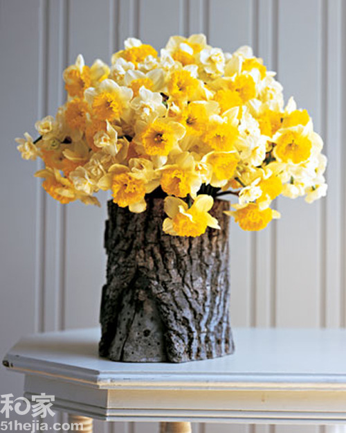 �ؚw��Ȼ��(sh��)ľ���͵��b���(��)