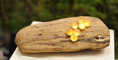 ����LED���䘶�ϵ�СĢ��