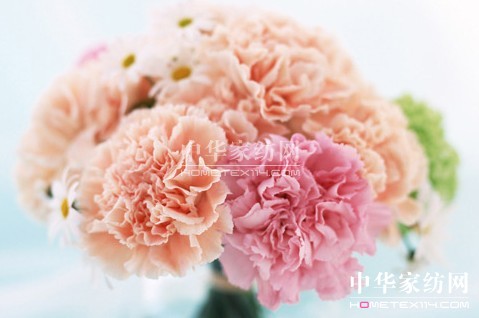 ĸ�H��(ji��)��׌�Ҽ����o������˯��