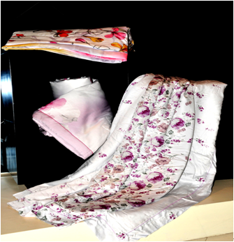 �{���Ҽ�����������x���{��