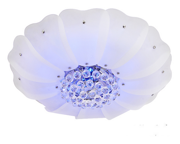 31���˚�W�j��Ʒ�W�b�����(1)