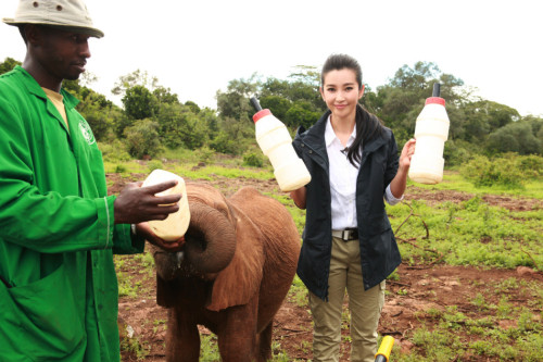 ���������"׃��"�����h�����J�B����