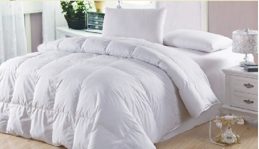 �Ҽ����B�� ��q���ɱ��B