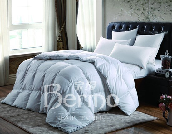 ���z�Ҽ�����¶���㡱��������