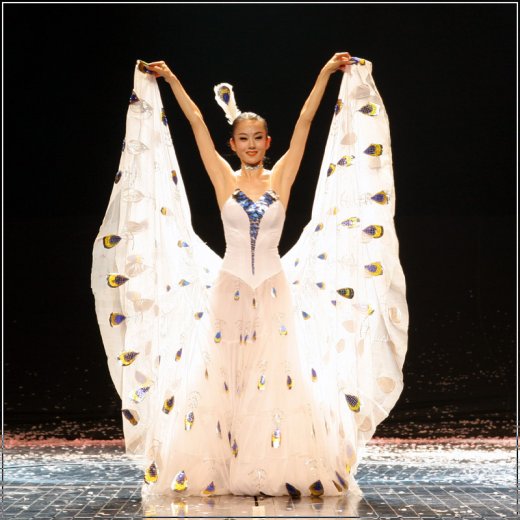 ����Ƽ�ྚ��ȸ��