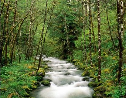 3D�Ҽ��o��?gu��)��?l��i)ȫ��ҕ�X(ju��)�_��