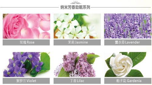 �{Ʒ�w�S�����Ҽ��c��ˮ�l������ײ