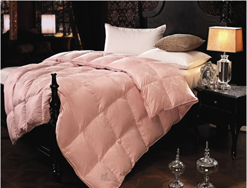 ���ˍu����q���ı��B֪�R