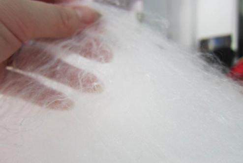 �L���|���O�y������Q�z���˳ɲ��ϸ�