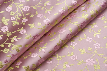 南充絲綢文化研究會開展交流活動