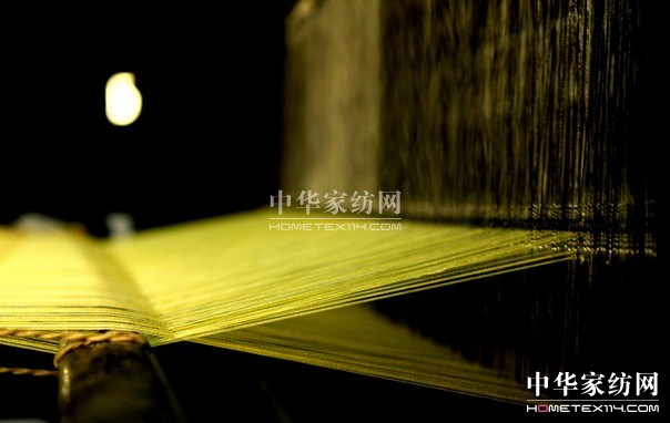 江西省繭絲綢協會成立大會南昌召開