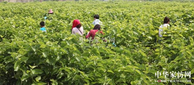 ���ýz�I��ɣ�ز�ժ��(ji��)�A�M��Ļ