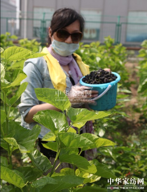 ���ýz�I��ɣ�ز�ժ��(ji��)�A�M��Ļ