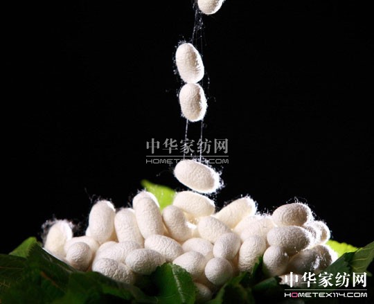 �ʺ��Q�z�������o���w�ĵڶ��Ӽ��w