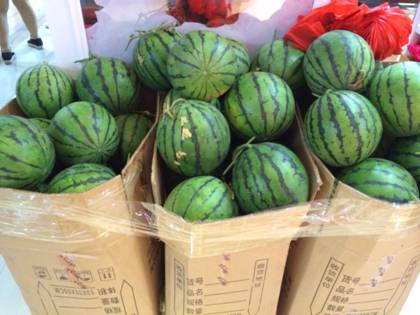 �W�ɼҼ�ƽ�ȵ�������}���M������