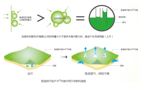 �ļ���Ʒ�o�B����ϴ��߀����