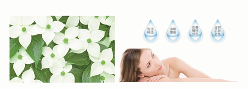 納米芳香盧卡纖維——權(quán)威檢測,安全可靠