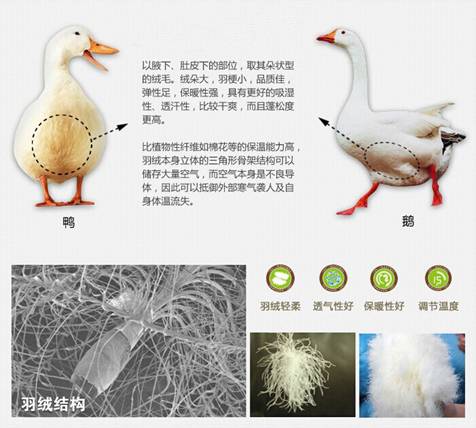 �W�ɼҼ����������u�������xُ��Ʒ����q��