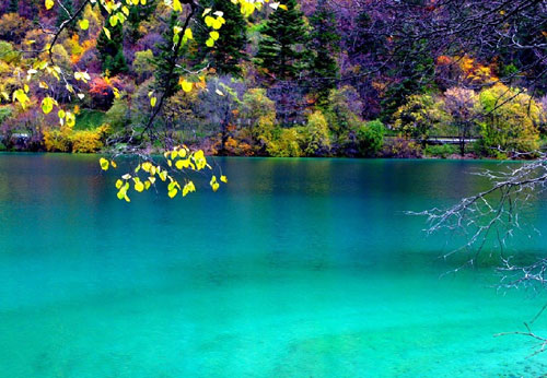 �Ї��Ҽ��f(xi��)�����Ĵ������{��