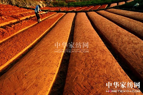 ̓�M�\�I��ԓ��ξ�������