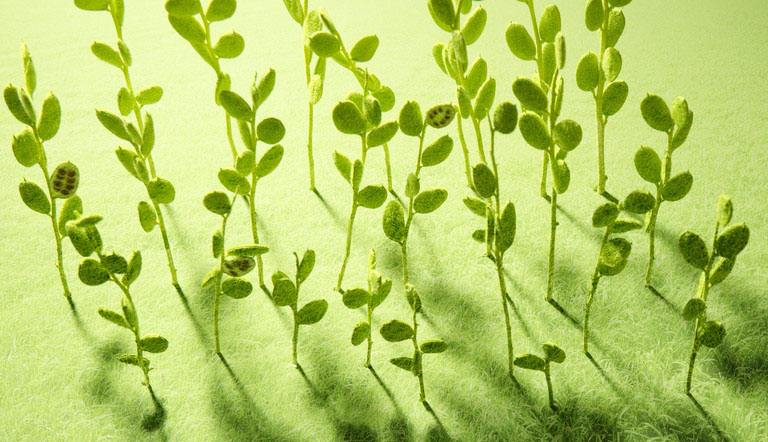 ���Ђ����I���߶��߂�����|