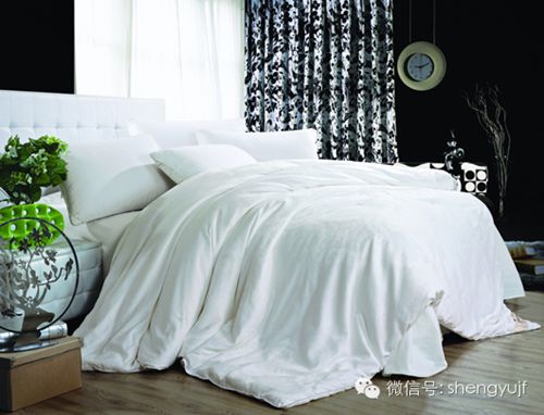 盛宇家紡秋冬新品“被你所愛”被芯系列
