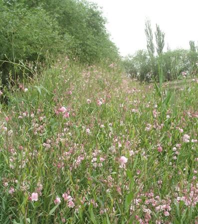 �½�һ��I�_�l��80֧�߼��_���鼆�Ҽ��ļ����ۃr11�f