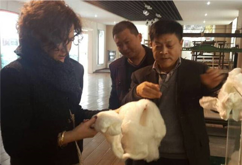 意大利客商到玖久絲綢企業(yè)考察