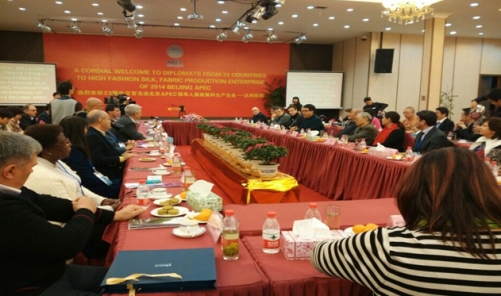 APEC����20���������⽻���R�L�_���z�I